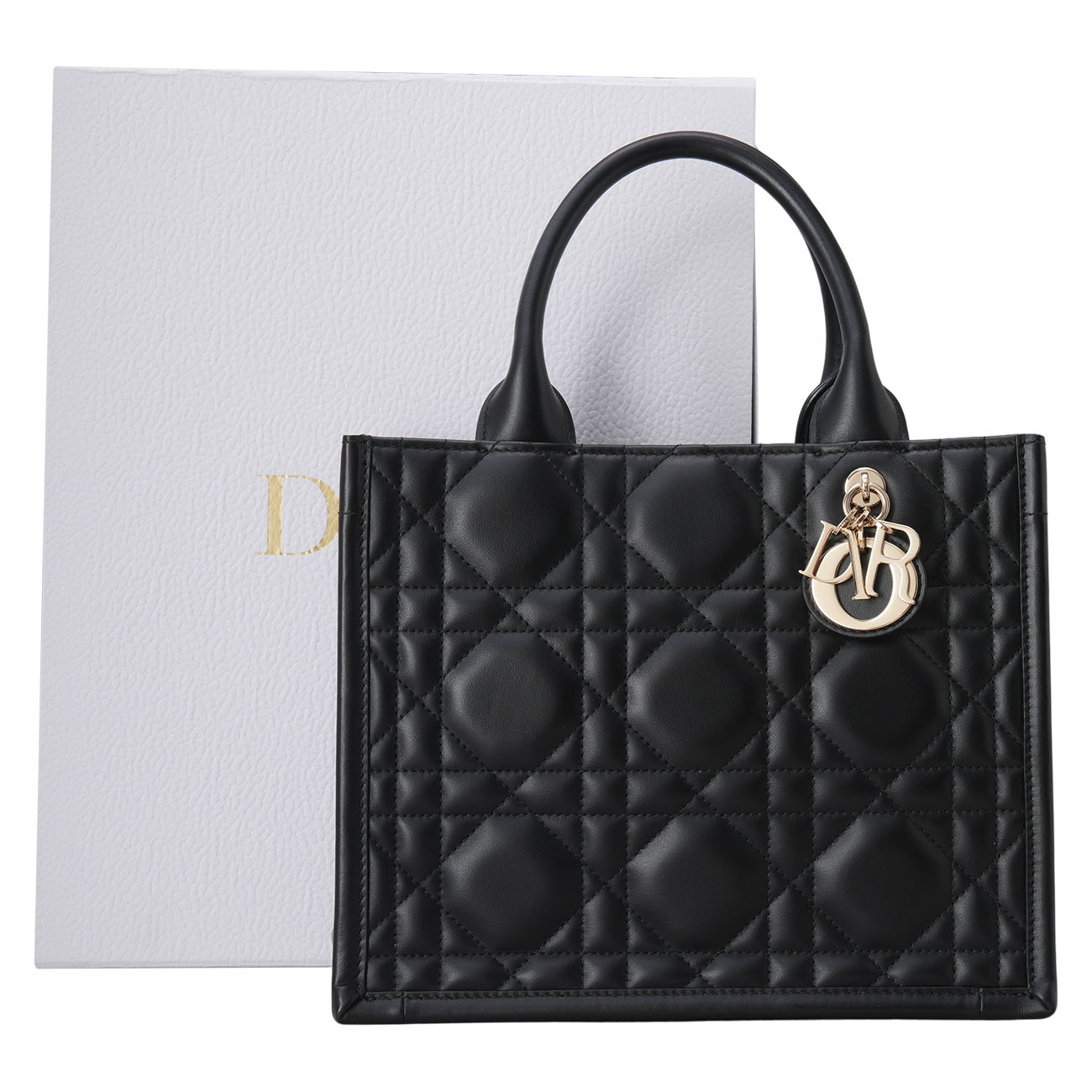 CHRISTIAN DIOR(USED)디올 레더 북토트 스몰